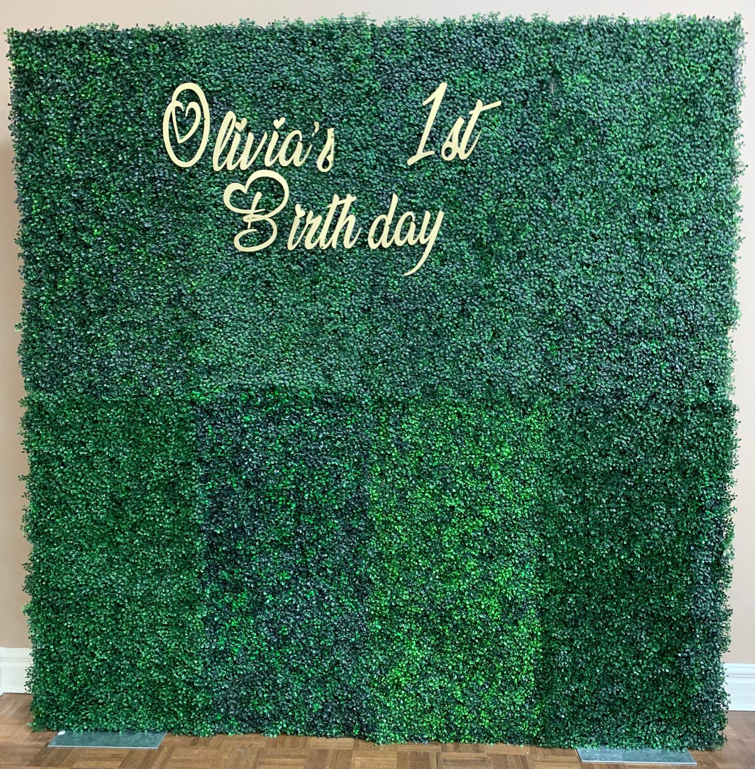 Birthday Green Boxwood Backdrop in Mississauga