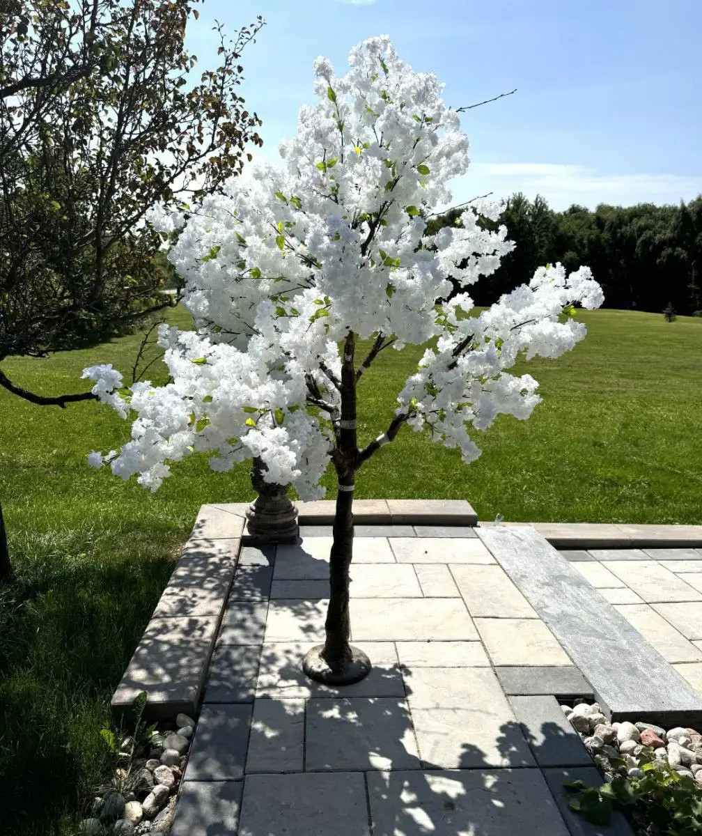 Cherry Blossom Tree Rental