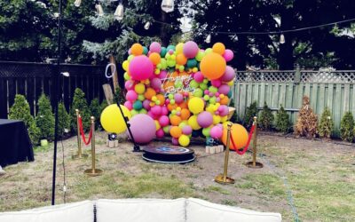 Kids Birthday Party Rentals in Simcoe
