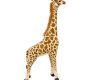 giraffe-safari-stuffed-animal-rental