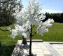 cherry-blossom-tree-rental